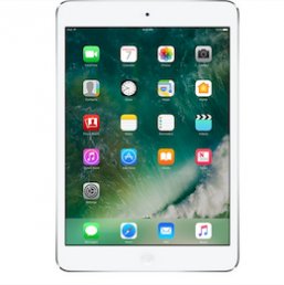 iPad Mini 2